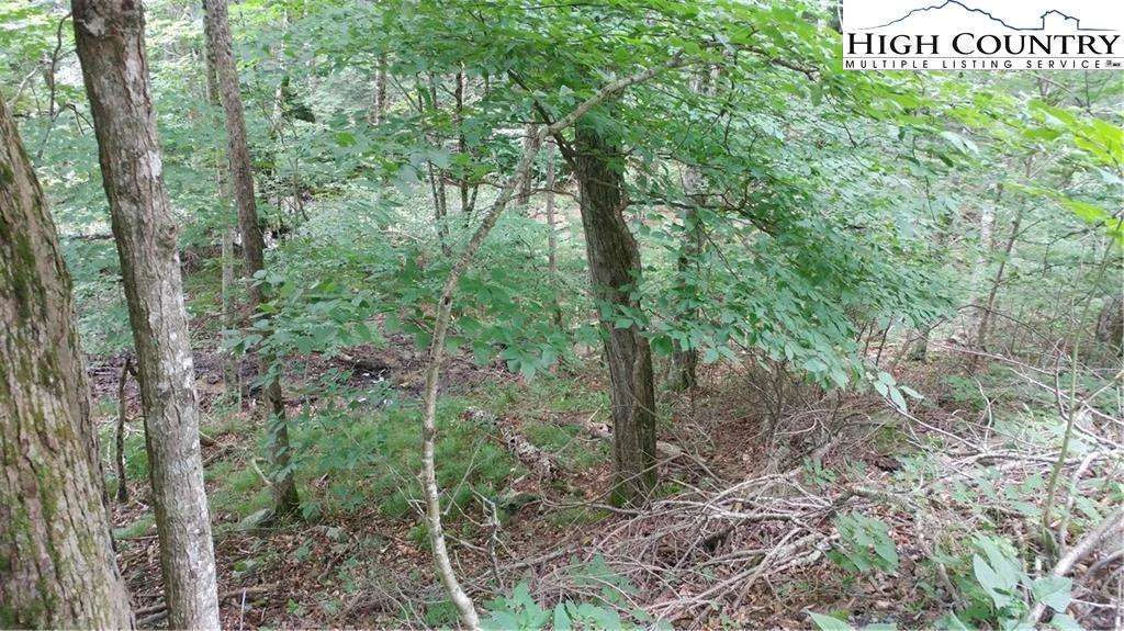Image number 3 for the current listing