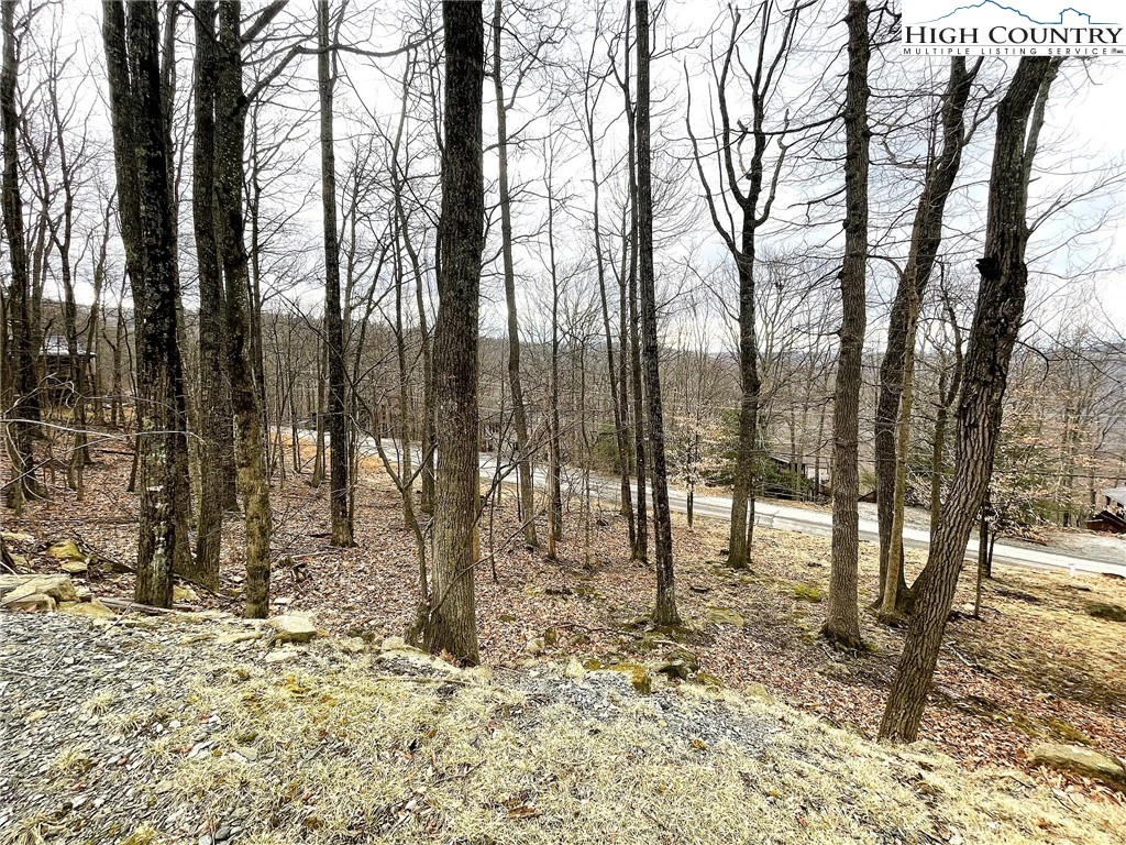 Image number 4 for the current listing