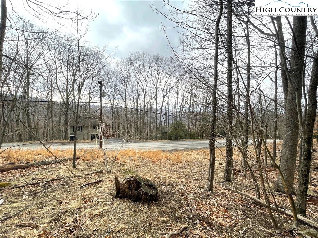 Image number 7 for the current listing