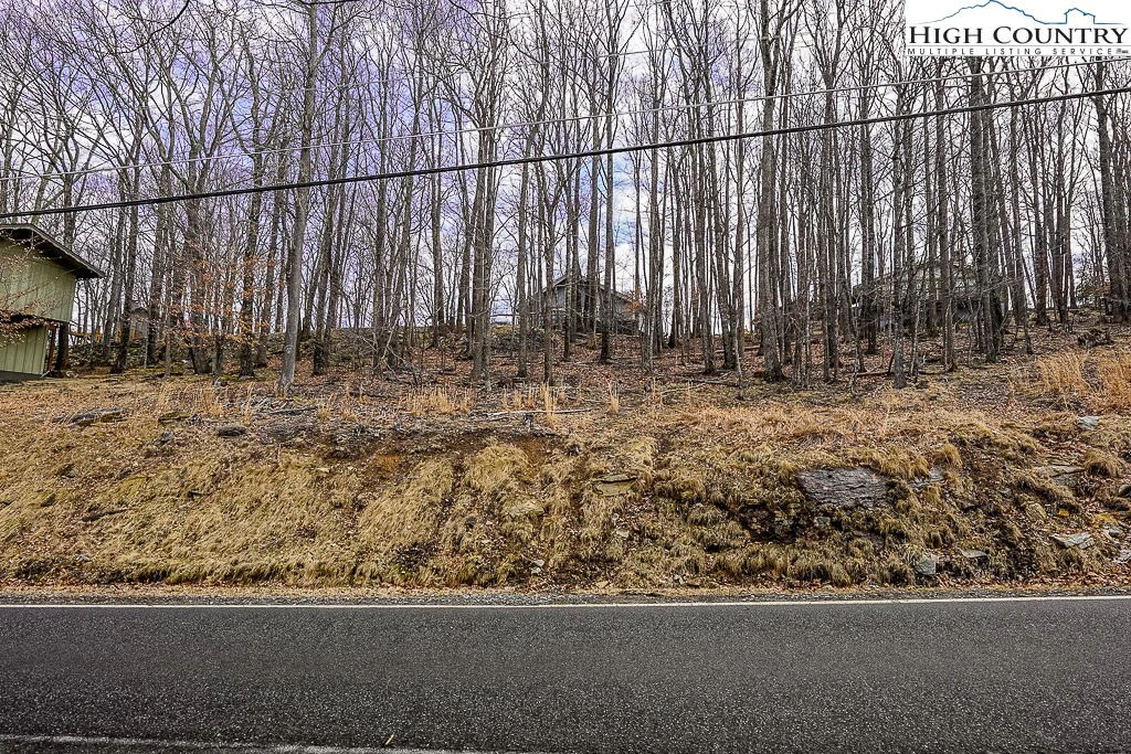 Image number 11 for the current listing