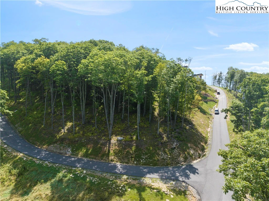 Image number 1 for the current listing