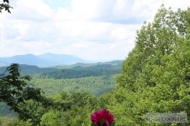 Image number 1 for the current listing