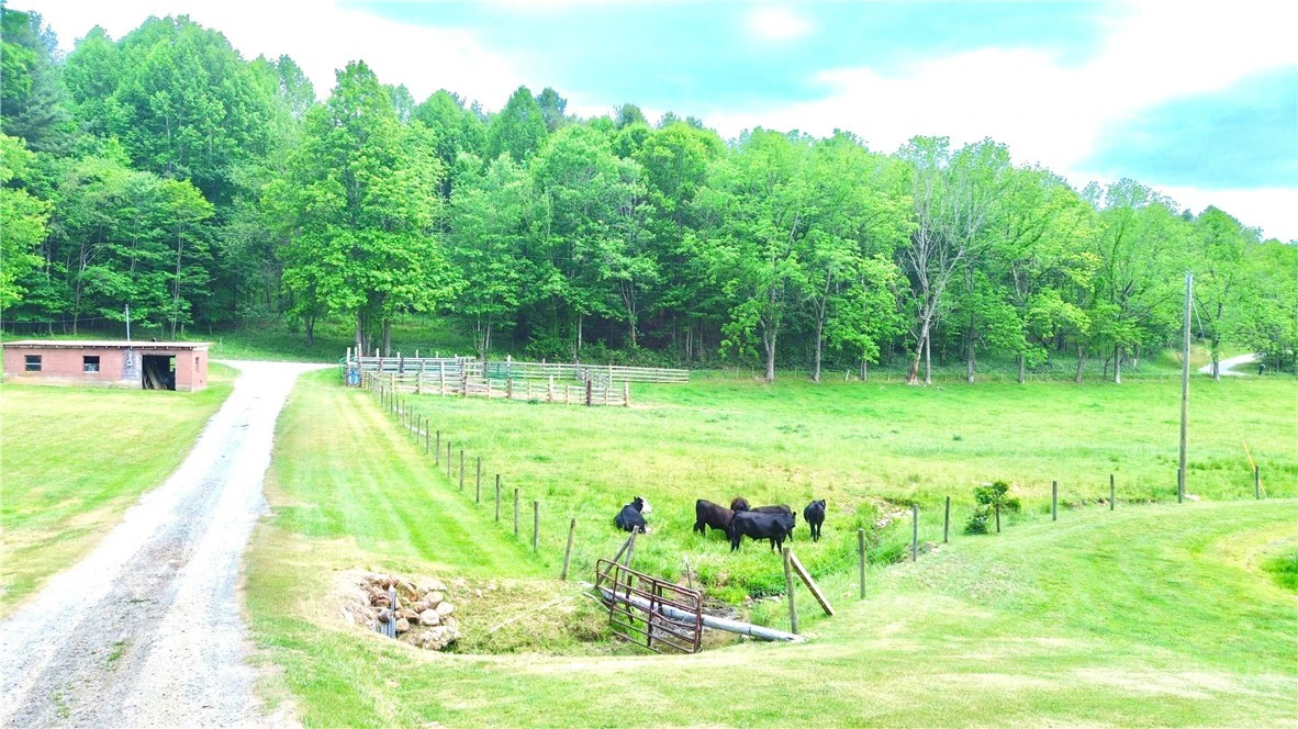 Image number 21 for the current listing