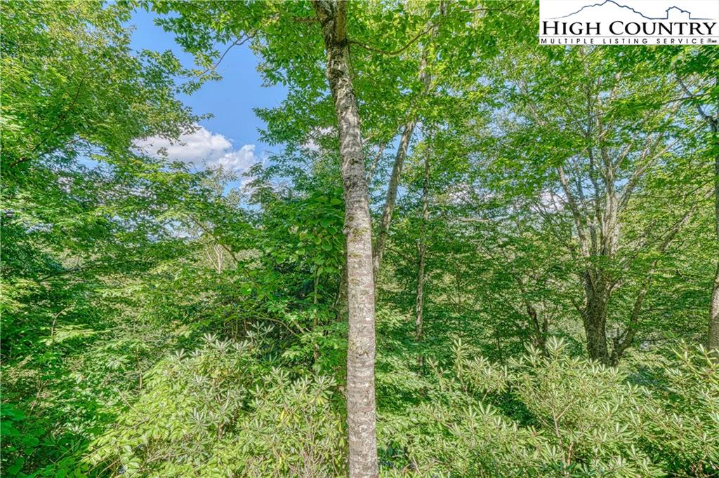 Image number 3 for the current listing