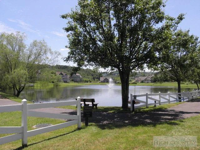 Image number 13 for the current listing