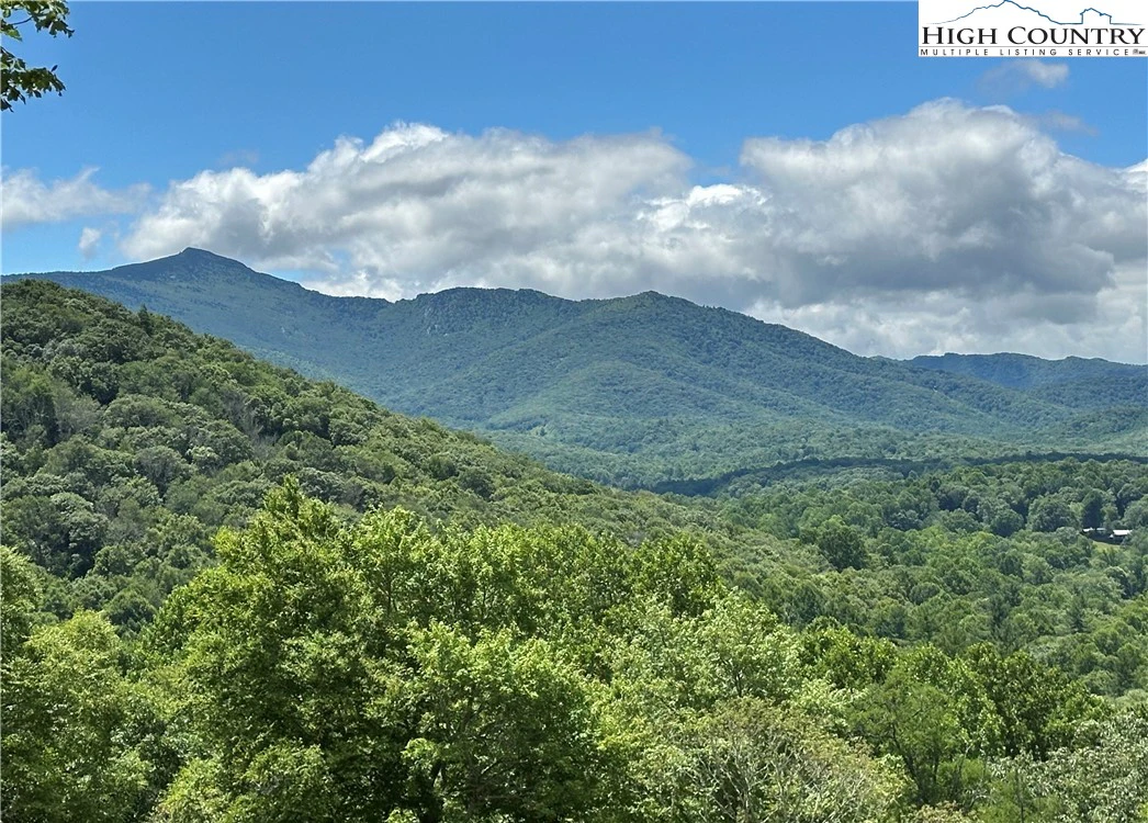 Image number 3 for the current listing