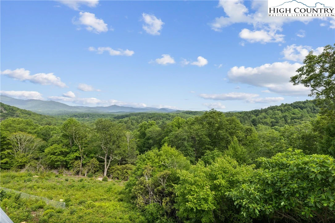 Image number 11 for the current listing