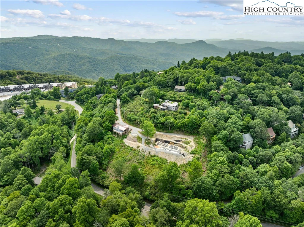 Image number 2 for the current listing