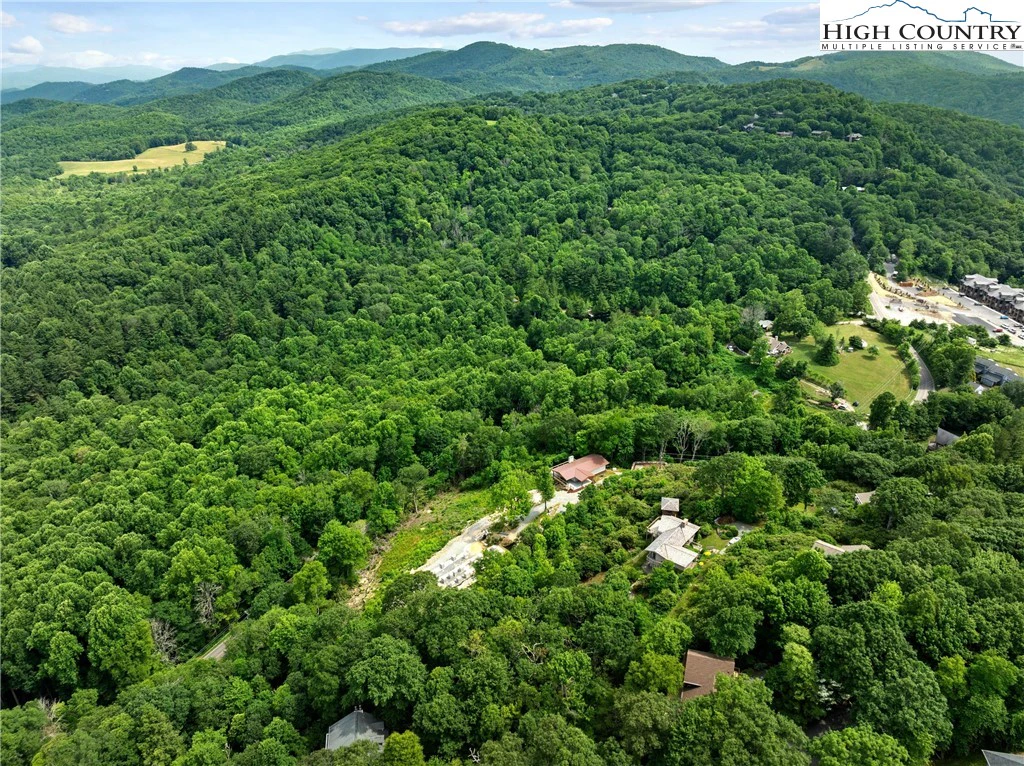 Image number 1 for the current listing