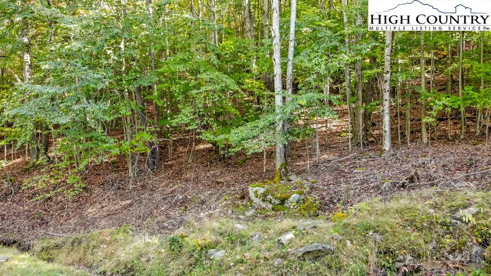 Image number 1 for the current listing