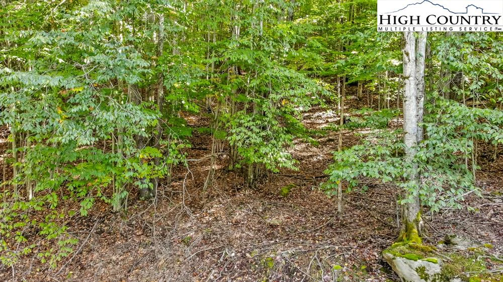 Image number 6 for the current listing