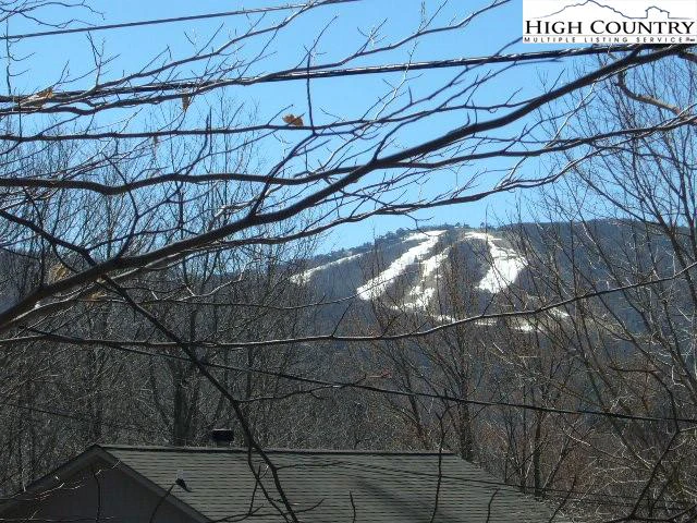 Image number 1 for the current listing