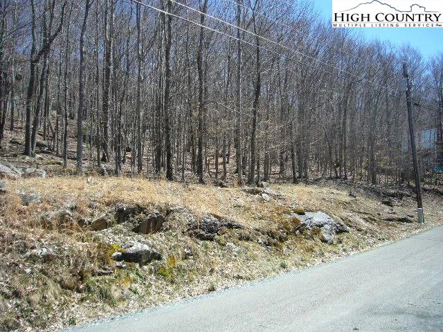 Image number 3 for the current listing