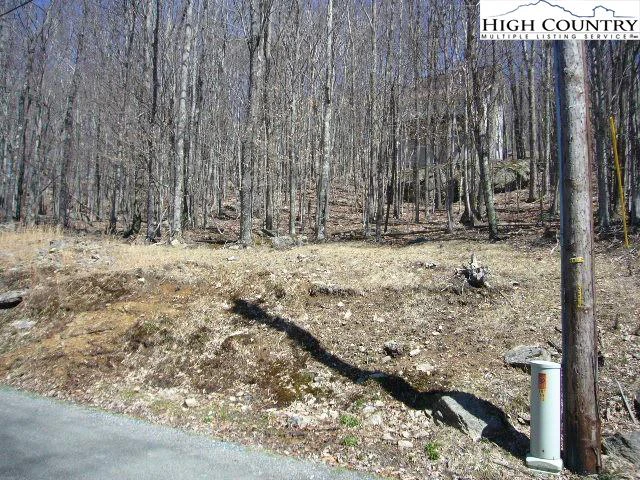 Image number 4 for the current listing