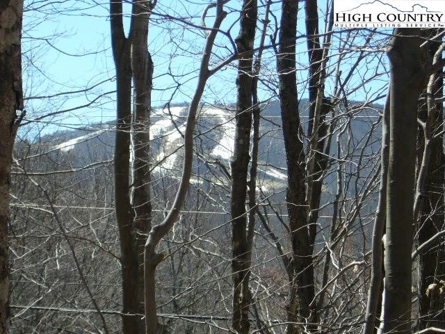 Image number 5 for the current listing