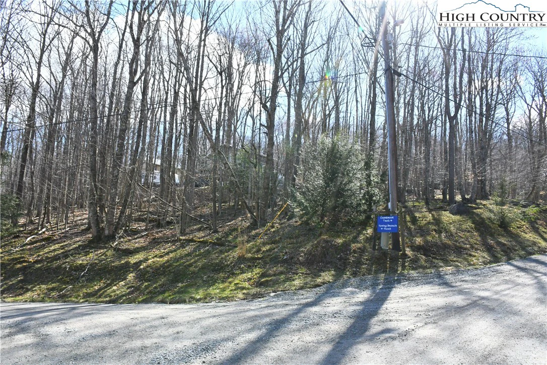 Image number 1 for the current listing