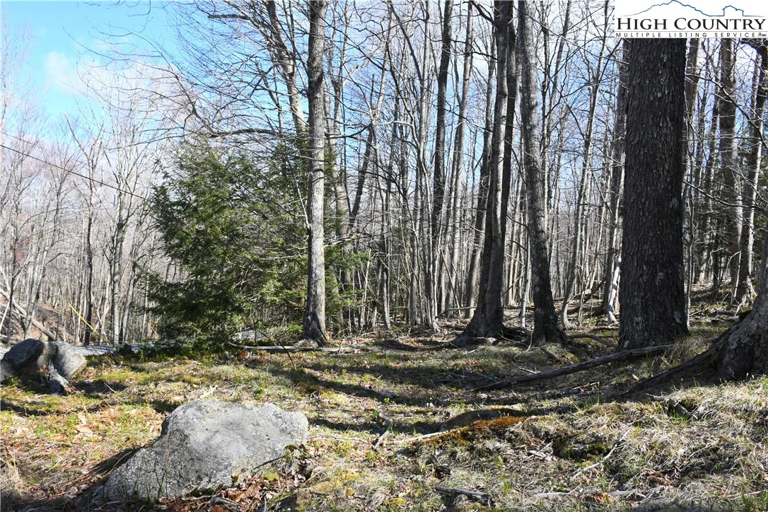 Image number 3 for the current listing