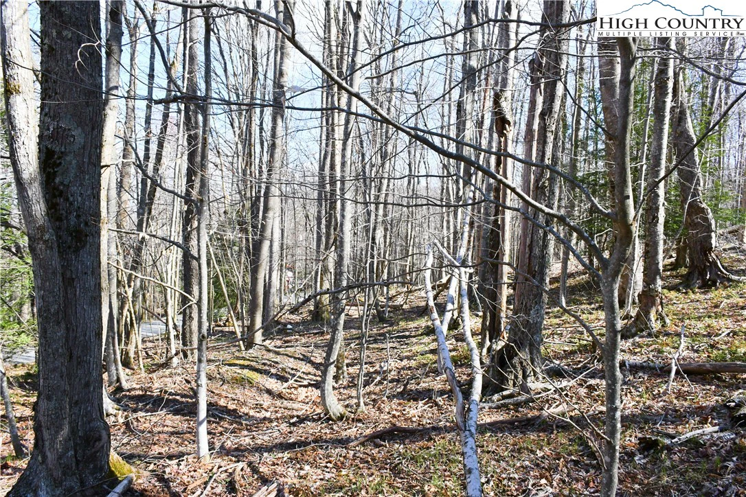 Image number 4 for the current listing
