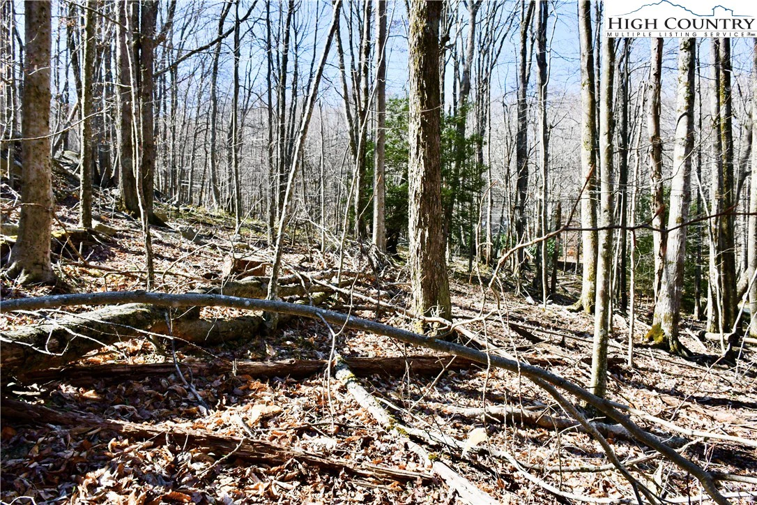 Image number 6 for the current listing