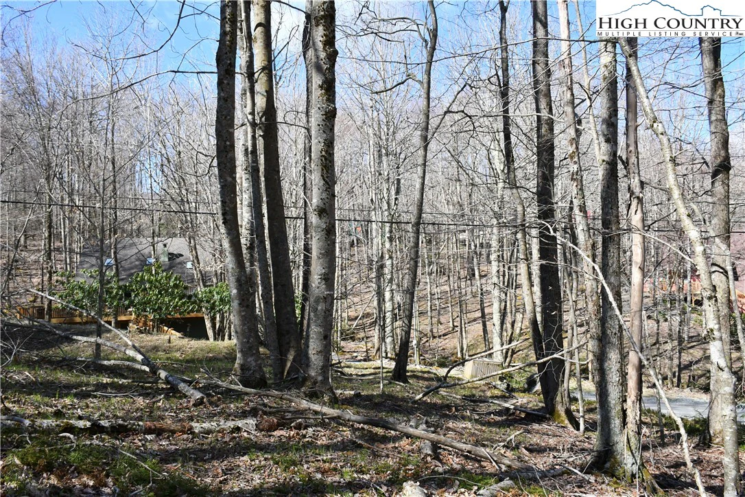 Image number 7 for the current listing