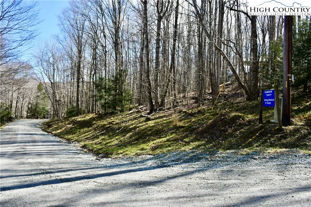 Image number 11 for the current listing
