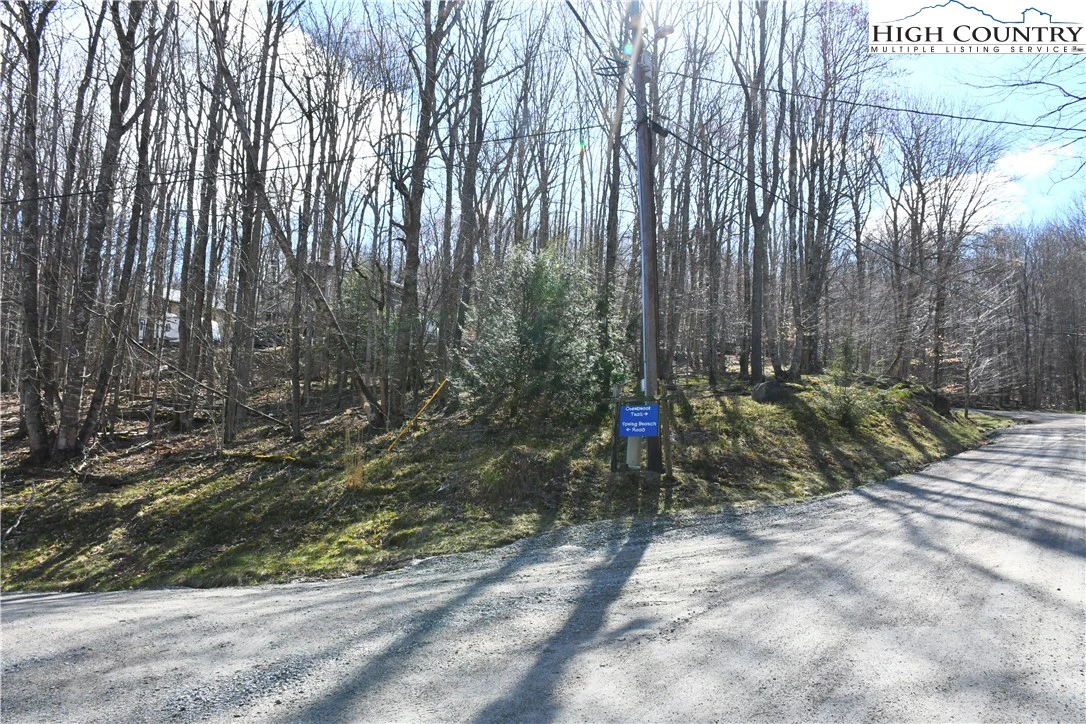 Image number 12 for the current listing