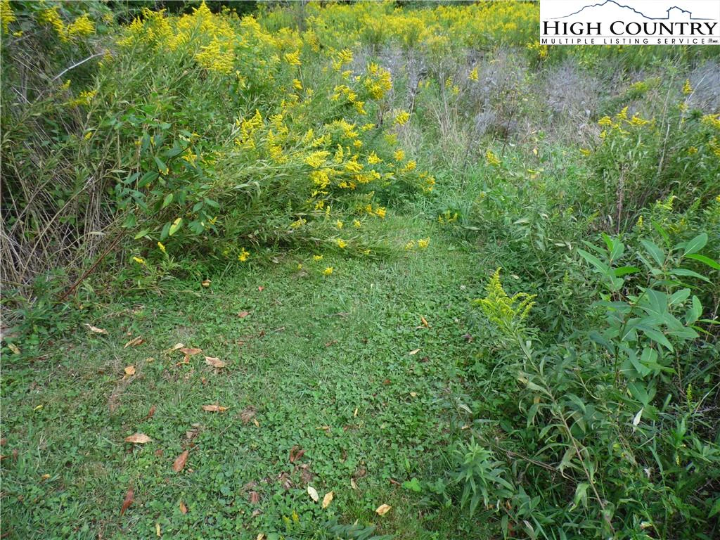 Image number 6 for the current listing