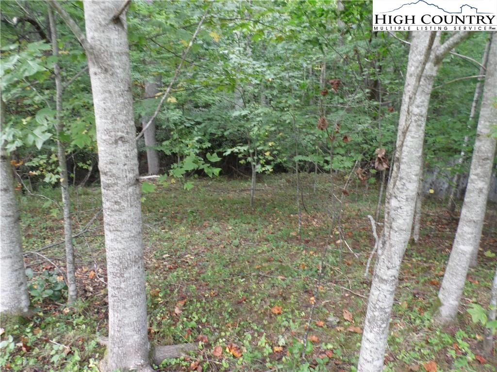 Image number 5 for the current listing