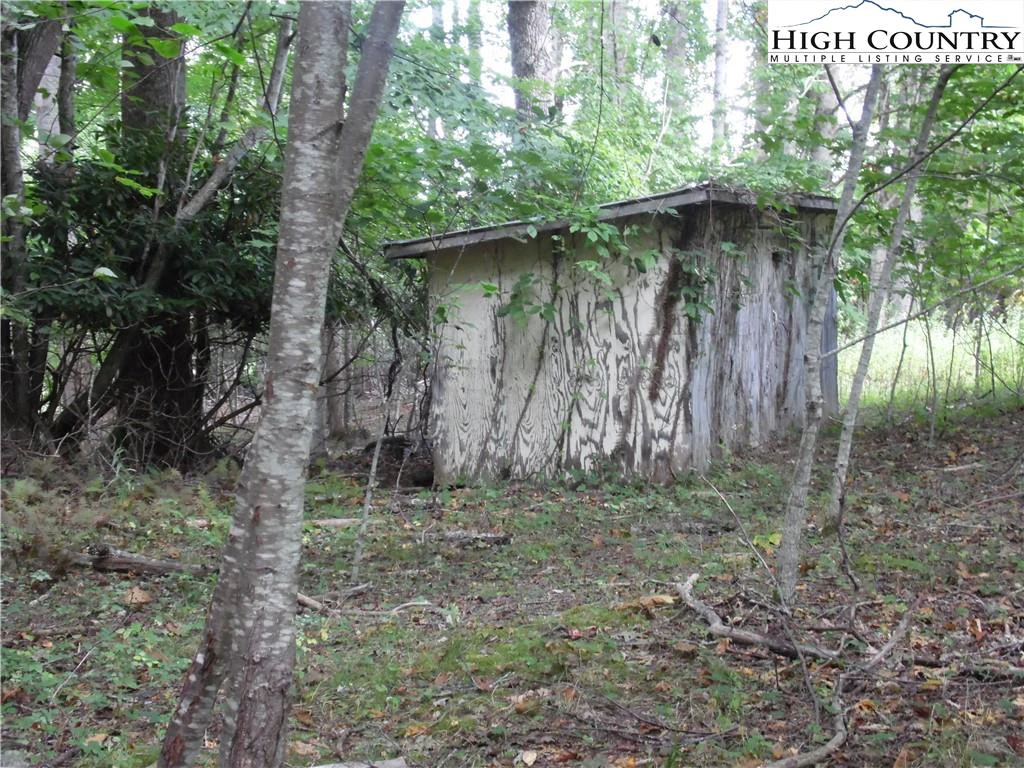 Image number 4 for the current listing