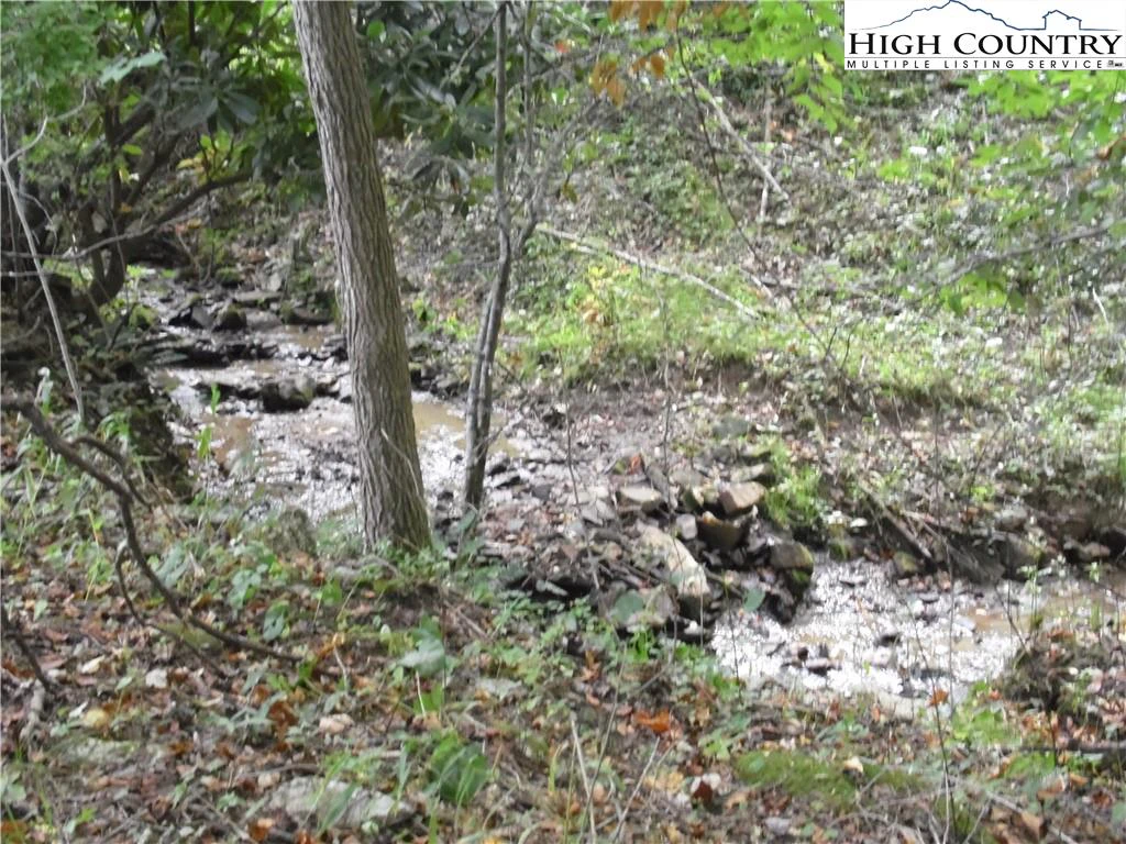 Image number 14 for the current listing