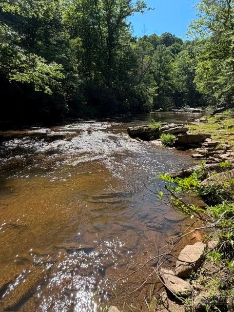 Image number 4 for the current listing