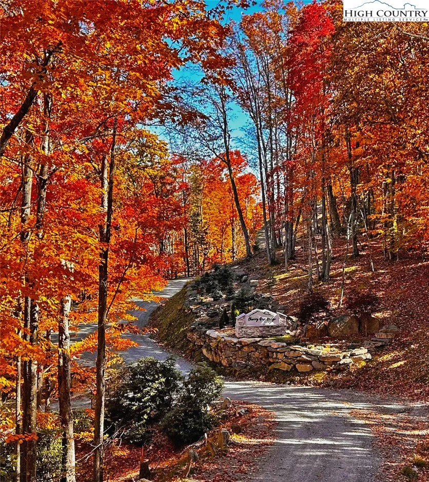 Image number 19 for the current listing