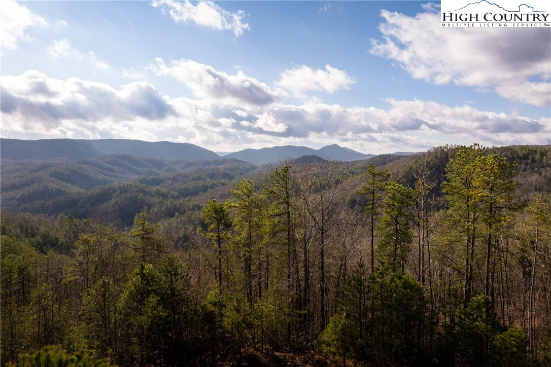 Image number 1 for the current listing