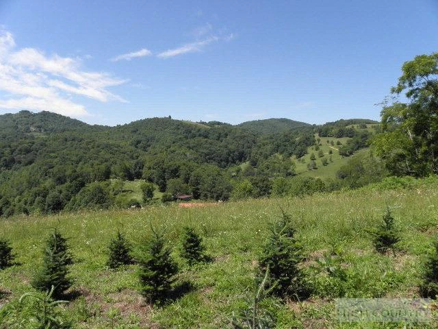 Image number 4 for the current listing