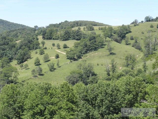 Image number 5 for the current listing