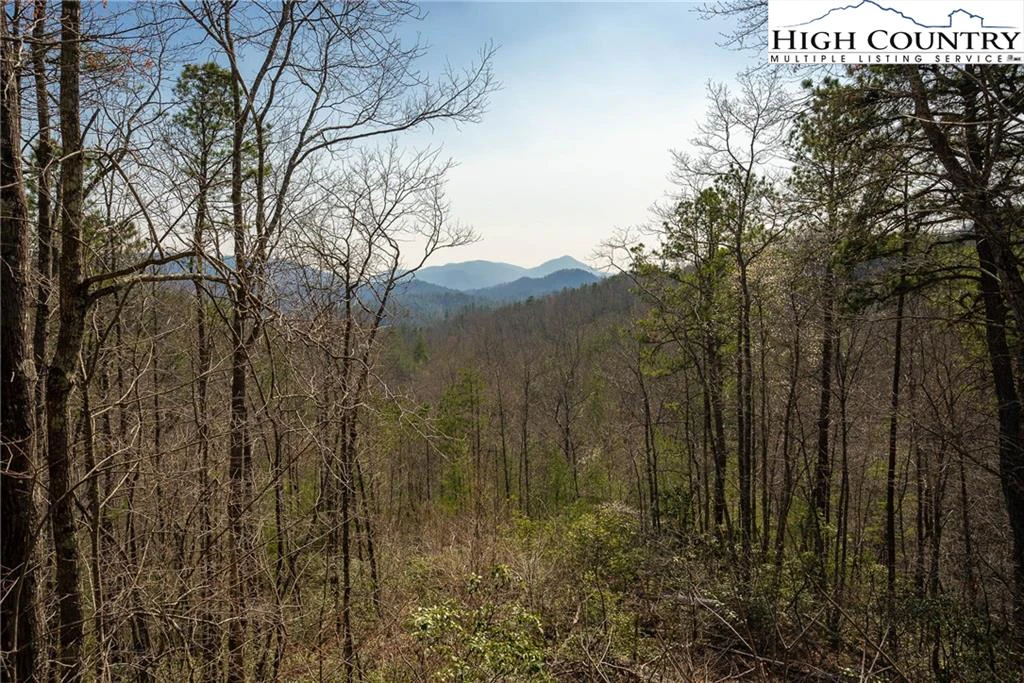 Image number 1 for the current listing