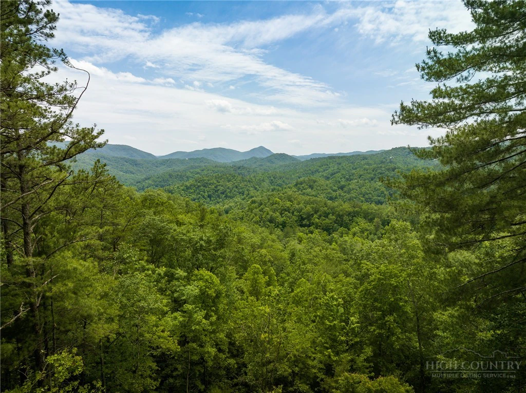 Image number 1 for the current listing