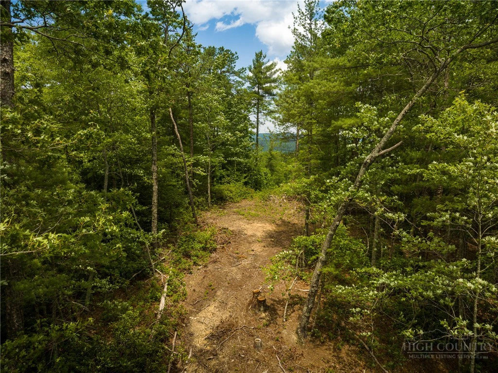 Image number 3 for the current listing