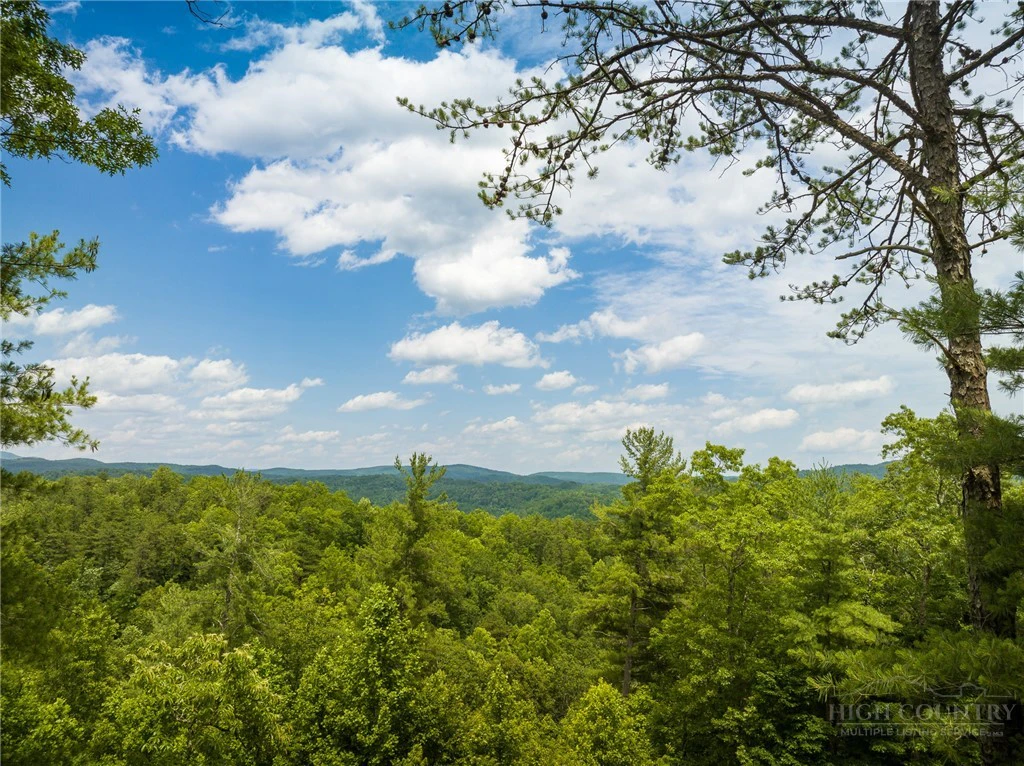 Image number 4 for the current listing