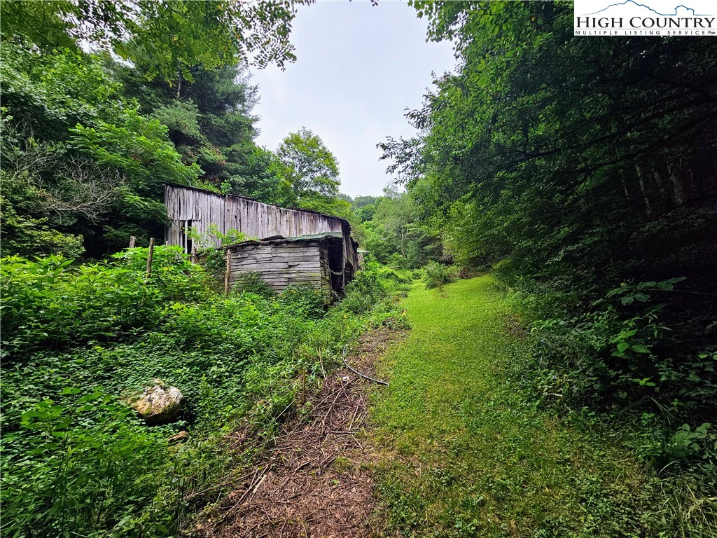 Image number 4 for the current listing