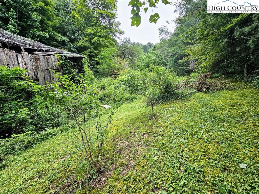 Image number 5 for the current listing