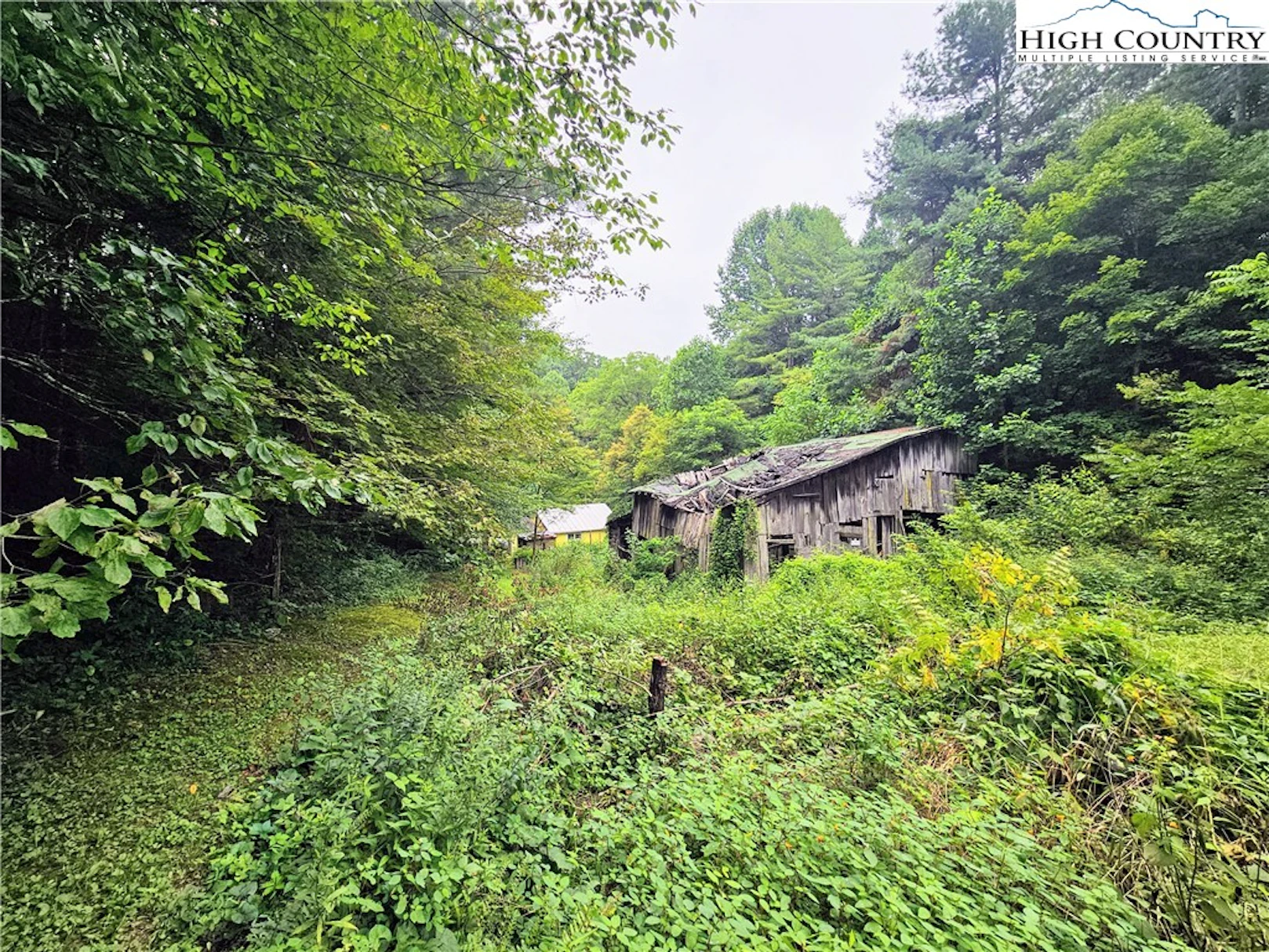 Image number 7 for the current listing