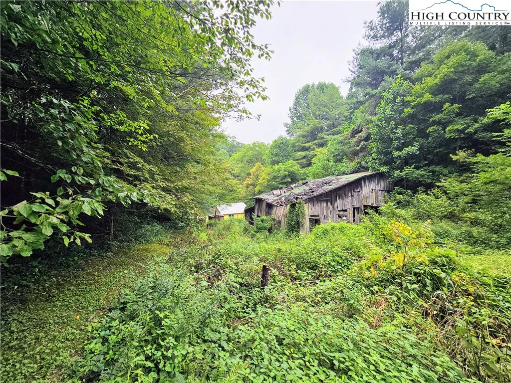 Image number 7 for the current listing