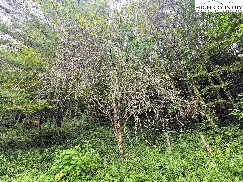 Image number 8 for the current listing