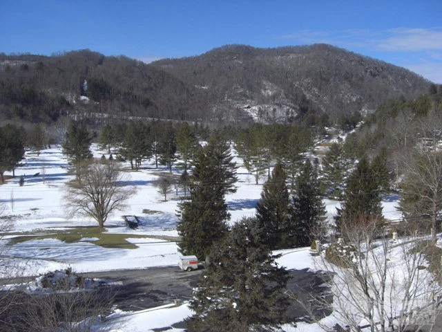 Image number 11 for the current listing