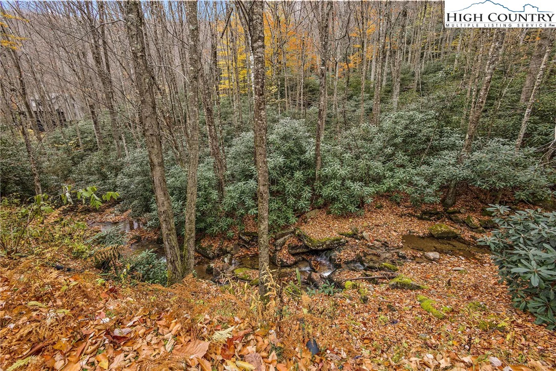 Image number 15 for the current listing