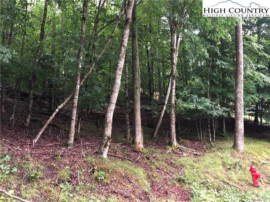 Image number 1 for the current listing