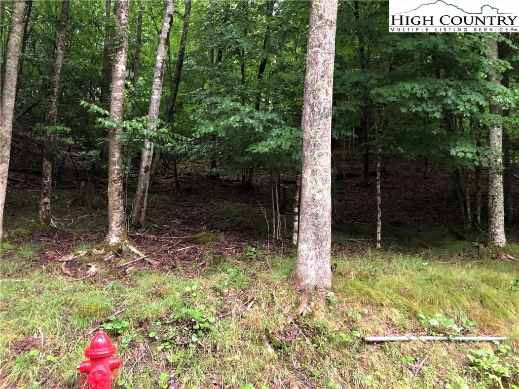 Image number 3 for the current listing