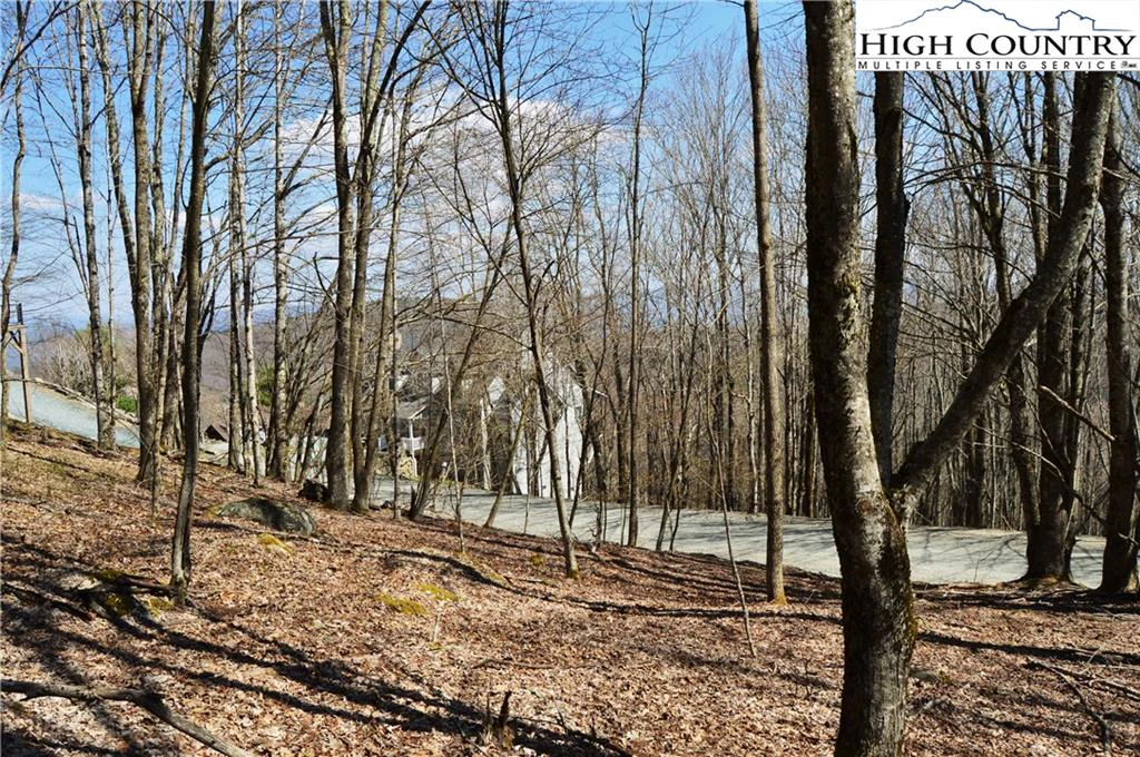 Image number 1 for the current listing