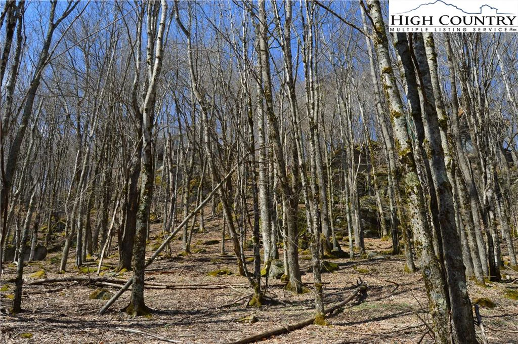 Image number 7 for the current listing